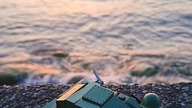 COBI w Gdyni - Szum morza #shorts #bricks #cobi #tank #lego #poland #gdynia #asmr #sea #beach #may