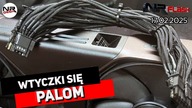 Wtyczki się palom - NRFlash (17. 02. 2025)