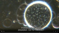 ZAGADNA  CO TO TAKIEGO?
