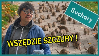 SZCZURY - Suchary #302