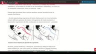 Szokujące INFORMACJE ws.  Akt Epsteina¿! To dlatego USA-Izrael zaatakowały Iran¿! Tego już nie da si