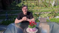 Nawóz do clematisów i hortensji * 17. 04. 2026