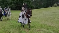 Przejazd rycerstwa polskiego i krzyżackiego przed bitwą pod Świecinem