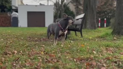 Tam jest jakiś ziomal!