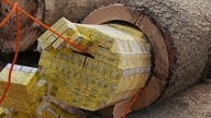 10 NAJMĄDRZEJSZYCH PRZEMYTNIKÓW W HISTORII