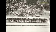 Film Polski.  DECYZJA.  TVrip.