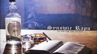 03.  Synowie Rapu - To Tylko Śmierć | 2012