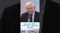 Kaczyński DRWI z GIERTYCHA WYGLĄDA JAK KOŃ #shorts