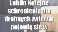 Lublin: Kolejne schronienia dla drobnych zwierząt pojawią się w Lublinie