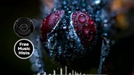 FIVE OF A KIND  Density & Time | Instrumental Ambient Music