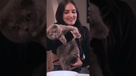 RANDKA Z KOCIARĄ
