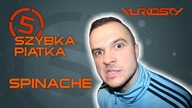 Spinache - Szybka Piątka