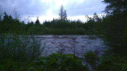 Evening River for Focus Real Outdoor Water Ambience