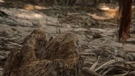 Cast.  Away.  - poza.  światem.  (2000) cz. 2