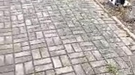 UFO porywa ludzi, a Sharp milczy o tym? Co rząd przed nami ukrywa? Kosmiczna Apokalipsa jak w filmie