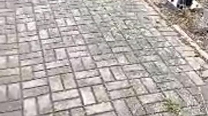 UFO porywa ludzi, a Sharp milczy o tym? Co rząd przed nami ukrywa? Kosmiczna Apokalipsa jak w filmie