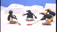 Pingu (Odcinek 12) - Pingu grają w hokeja