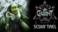 Wszystkie Nowe Karty Scoiatael Plus Pozostałe Legendy! Gwint Pan Lusterko