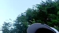 Popołudniowy Pies Rubik! Leśny Spacer! Rubik i Sarmata na przechadzce! Q&A z lasu - pytania do SK!