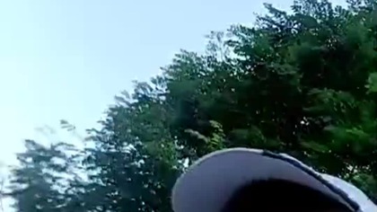 Popołudniowy Pies Rubik! Leśny Spacer! Rubik i Sarmata na przechadzce! Q&A z lasu - pytania do SK!