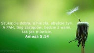 Janek Pajor - Szukałem szczęścia