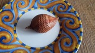 Jak smakuje salak i jak posiać jego nasiona.