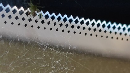 Pająk i straszna muzyczka