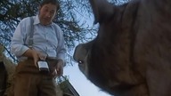 Folwark Zwierzęcy [1999]