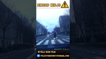 Nieustapienie pierwszeństwa pieszej z psem na PDP #shorts #rikordwidjo #polscykierowcy #carcrash