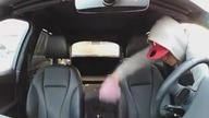 LiveLeak - Vehicle Burglary Caught in Progress