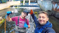 MAGNES NEODYMOWY W SZCZECINIE zapora na młynie