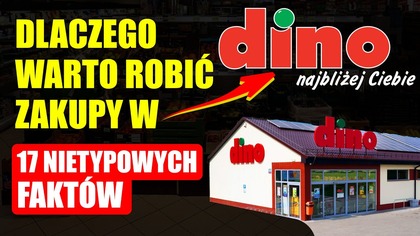 Dlaczego warto robić zakupy w sklepach DINO | 17 nietypowych faktów