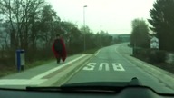 niespodzianka na drodze :)