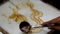 Karmelowy talent