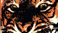 Eye Of The Tiger (My Version)