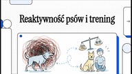 Jak opanować reaktywnego psa? Prawda o zrównoważonym szkoleniu 