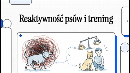 Jak opanować reaktywnego psa? Prawda o zrównoważonym szkoleniu 