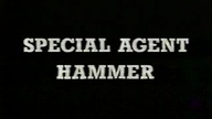 Agent Specjalny Hammer (Hammerhead) 1987 VHS Lektor PL