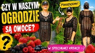 589.  Czy Są Owoce W Naszym Ogrodzie Czy Ich Nie ma? Sprawdźmy To Razem!