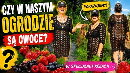 589.  Czy Są Owoce W Naszym Ogrodzie Czy Ich Nie ma? Sprawdźmy To Razem!