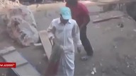 Zabawa laserem z bystrym arabem