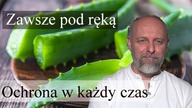 Aloes.  Jak zrobić maść na trudno gojące rany.