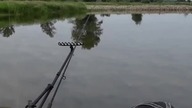 Piękny LESZCZ - Odra Łomy #feeder #fishing #wedkarstwo