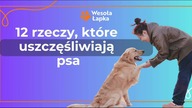 Jak uszczęśliwić swojego psa