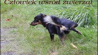 Człowiek wśród zwierząt