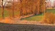 Szort 2