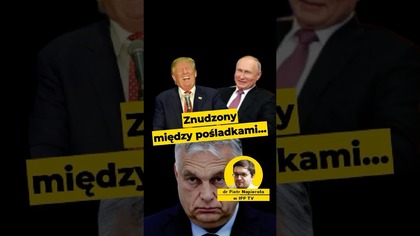 Znudzony między pośladkami...  @drPiotrMNapierala #orban #putin #trump #węgry
