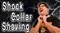 Shock Collar Shaving
