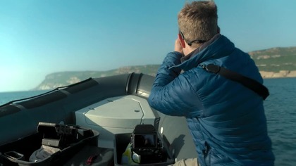 Bertie Gregory- Bliskie spotkanie z rekinami.