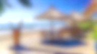 miamistationtv (transmission)